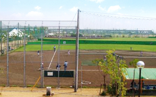 少年野球の風景