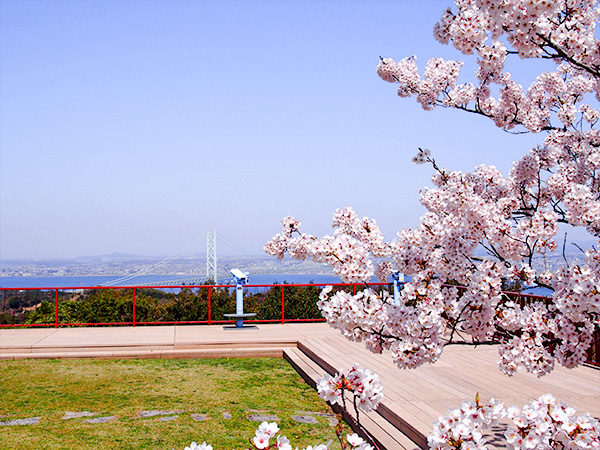 展望広場の風景