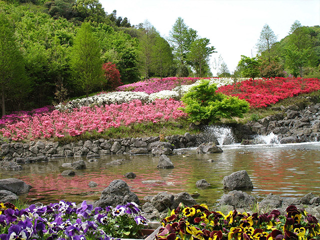 花の谷の風景
