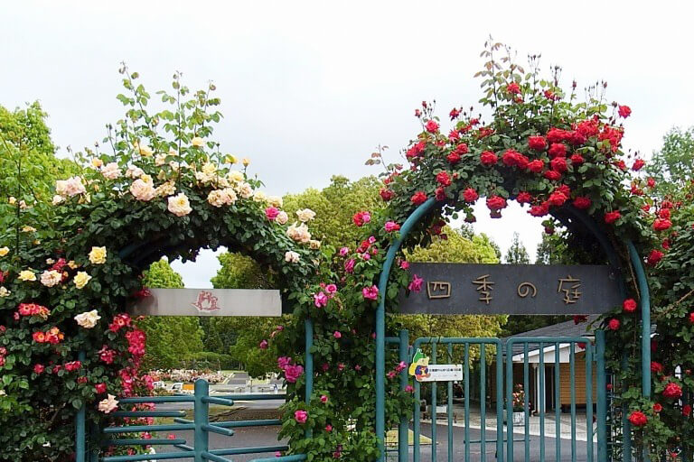 施設紹介 四季の庭 はりちゅう 兵庫県立播磨中央公園