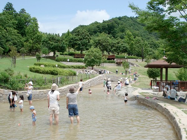 丘の流れで遊ぶ子ども達