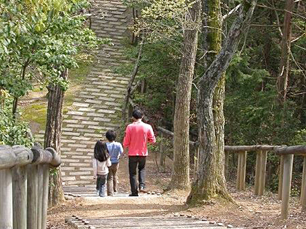 森の小道を散歩する親子