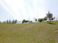 見晴らしの丘の風景