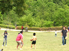 森の広場で遊ぶ子ども達