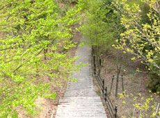 出合いの谷の風景