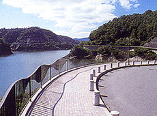 湖畔の道の風景