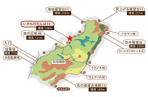 いきものたんぼのマップ