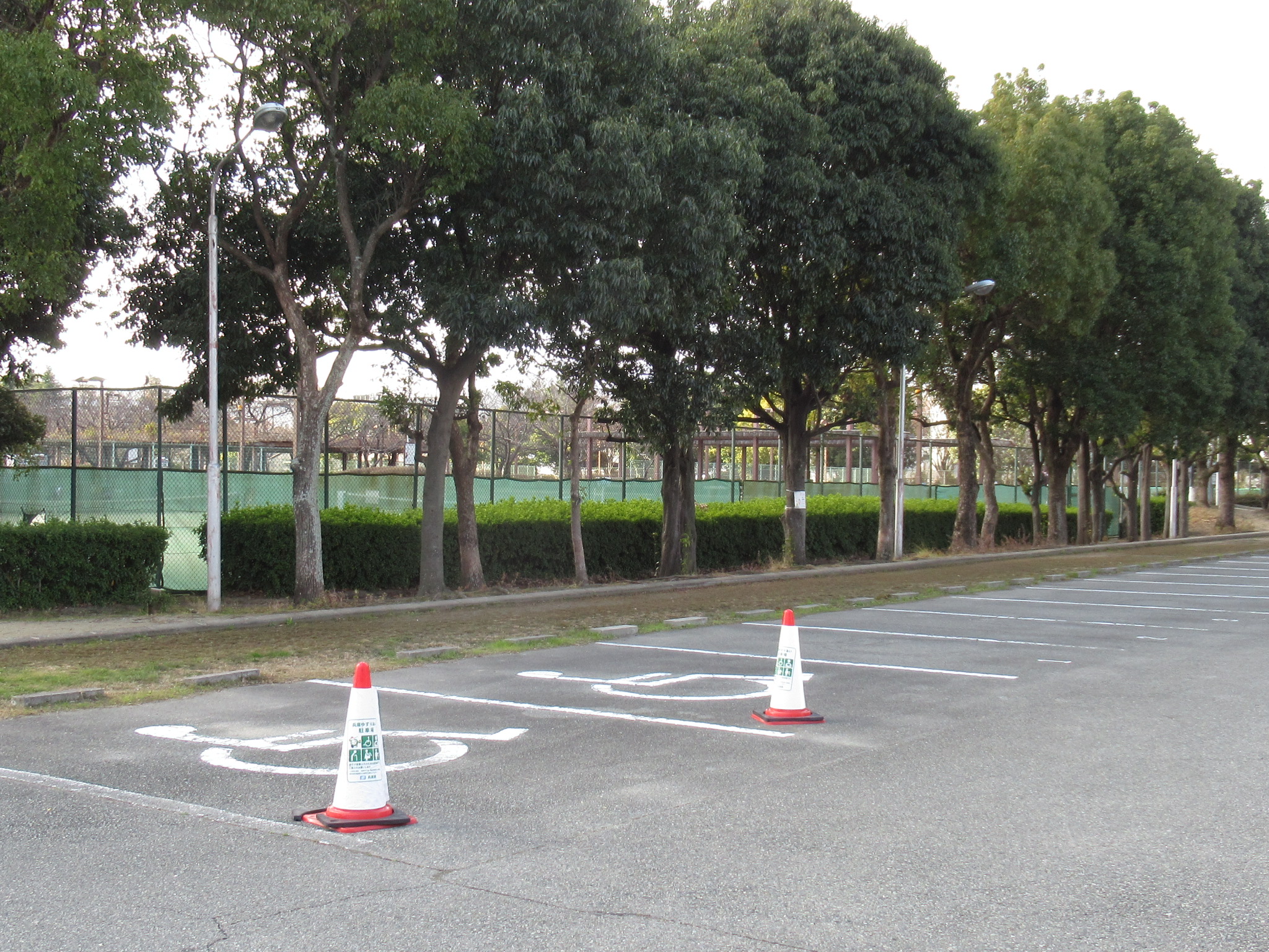 駐車場(身体障害者専用駐車マス)の写真02
